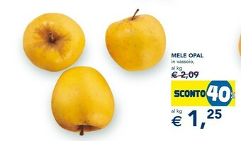 Esselunga Mele opal offerta