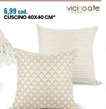 Eurospin Cuscino 40x40 cm offerta