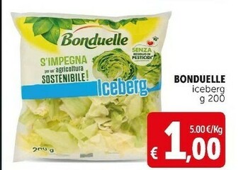 Deco Supermercati Iceberg offerta