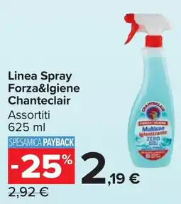 Carrefour Market Linea Spray Forza&lgiene Chanteclair Assortiti offerta