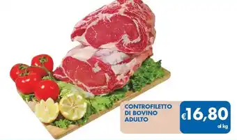 MD Discount Controfiletto di bovino adulto offerta