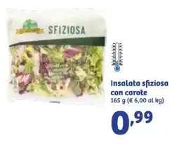 In'S Mercato Insalata sfiziosa con carote offerta