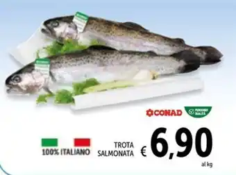 Spazio Conad Trota salmonata offerta