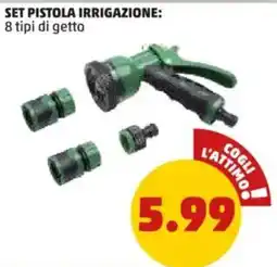 PENNY Set pistola irrigazione offerta