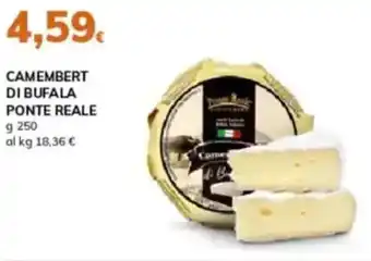 Basko Camembert di bufala PONTE REALE offerta