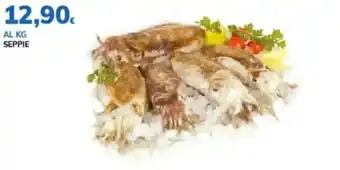 Basko Seppie offerta