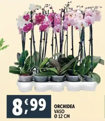 Deco Supermercati Orchidea offerta