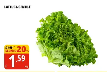 Tigros Lattuga gentile offerta