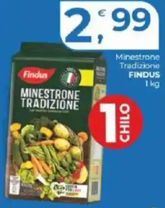 Alter Discount Minestrone Tradizione FINDUS offerta