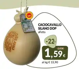 Galassia Caciocavallo silano dop all'etto offerta