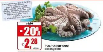Il Gigante POLPO 800-1200 decongelato offerta