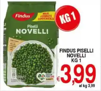 Iper Triscount Findus piselli NOVELLI offerta