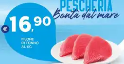 Extra Supermercati Filone di tonno offerta