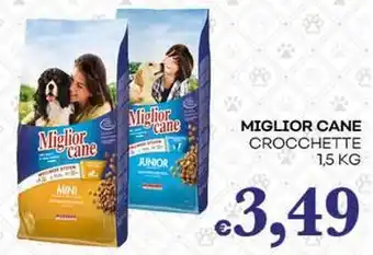 Pilato Miglior cane crocchette offerta