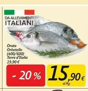 Carrefour Market Orata orbetello offerta