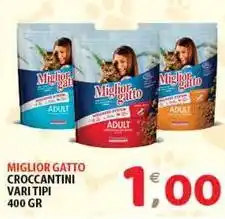 Miglior gatto croccantini vari tipi