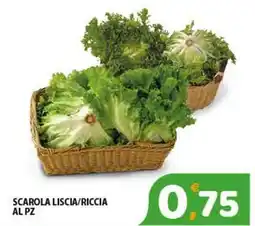 Scarola liscia/riccia