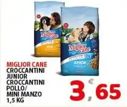 Premium Supermercati Miglior cane croccantini junior croccantini pollo/ mini manzo offerta