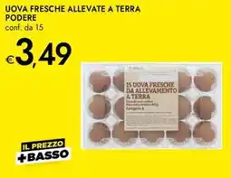 Bennet Uova fresche allevate a terra offerta