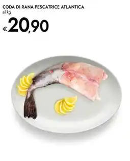 Bennet Coda di rana pescatrice atlantica offerta