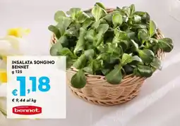 Bennet Insalata songino BENNET offerta