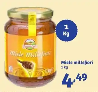 In'S Mercato Miele millefiori offerta