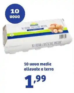 In'S Mercato 10 uova medie allevate a terra offerta
