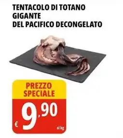 Tentacolo di totano gigante del pacifico decongelato