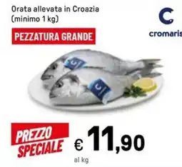 Iper La Grande Orata allevata in Croazia offerta