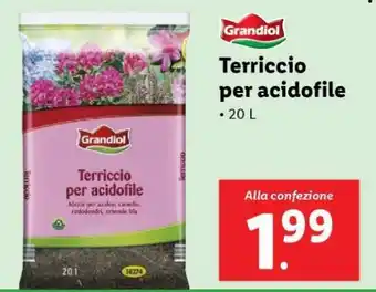 Lidl Grandiol Terriccio per acidofile offerta