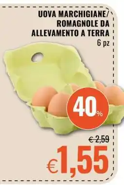 Famila Uova Marchigiane/Romagnole da Allevamento a Terra offerta