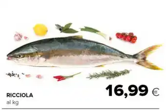 Tigre Ricciola offerta