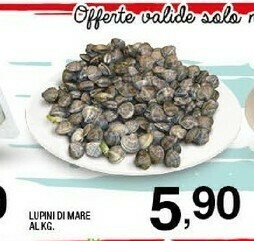 Sigma Vongole offerta
