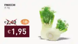 Finocchi