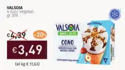 Prezzemolo e Vitale VALSOIA 4 Coni Vegetali offerta