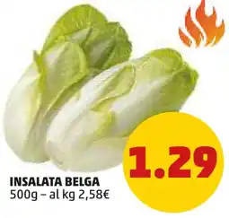 PENNY Insalata belga offerta