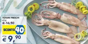 Esselunga Totani freschi offerta