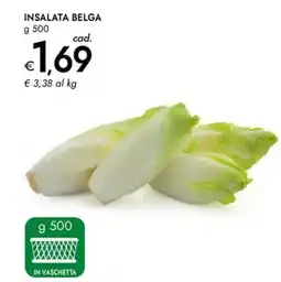 Bennet Insalata belga offerta