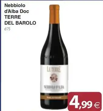 Docks Cash&Carry Nebbiolo d'Alba Doc TERRE DEL BAROLO offerta