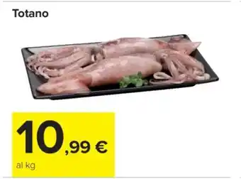 Carrefour TOTANO offerta
