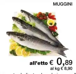Coop Muggini offerta