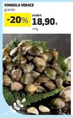 Coop Vongola Verace offerta