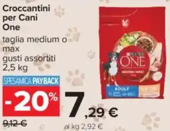 Carrefour Croccantini per Cani One offerta