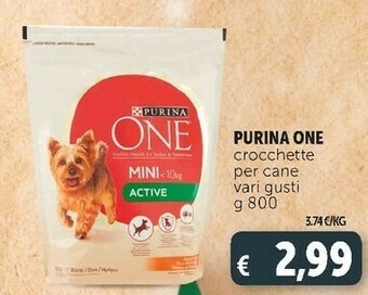 Deco Supermercati Cibo per cani offerta