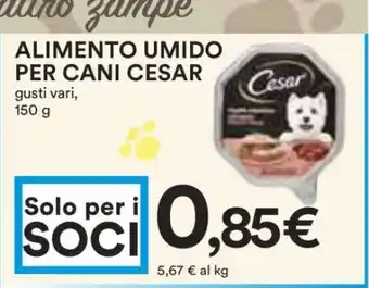 Coop Alimento umido per cani Cesar offerta