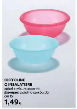 Coop CIOTOLINE O INSALATIERE offerta