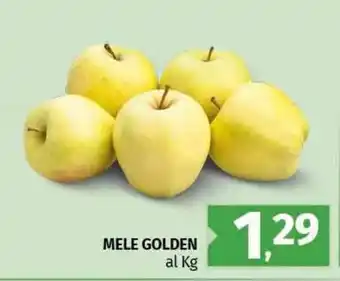 Pam Mele golden offerta