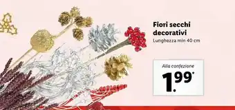 Lidl Fiori secchi decorativi legherezza 40 cm offerta