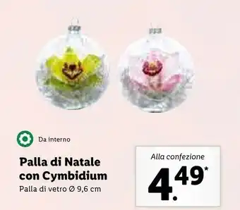 Lidl Da interno palla di natale con cymbidium 9.6 cm offerta
