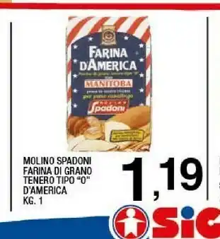 Farina di grano tenero tipo 0 d'america 1 kg